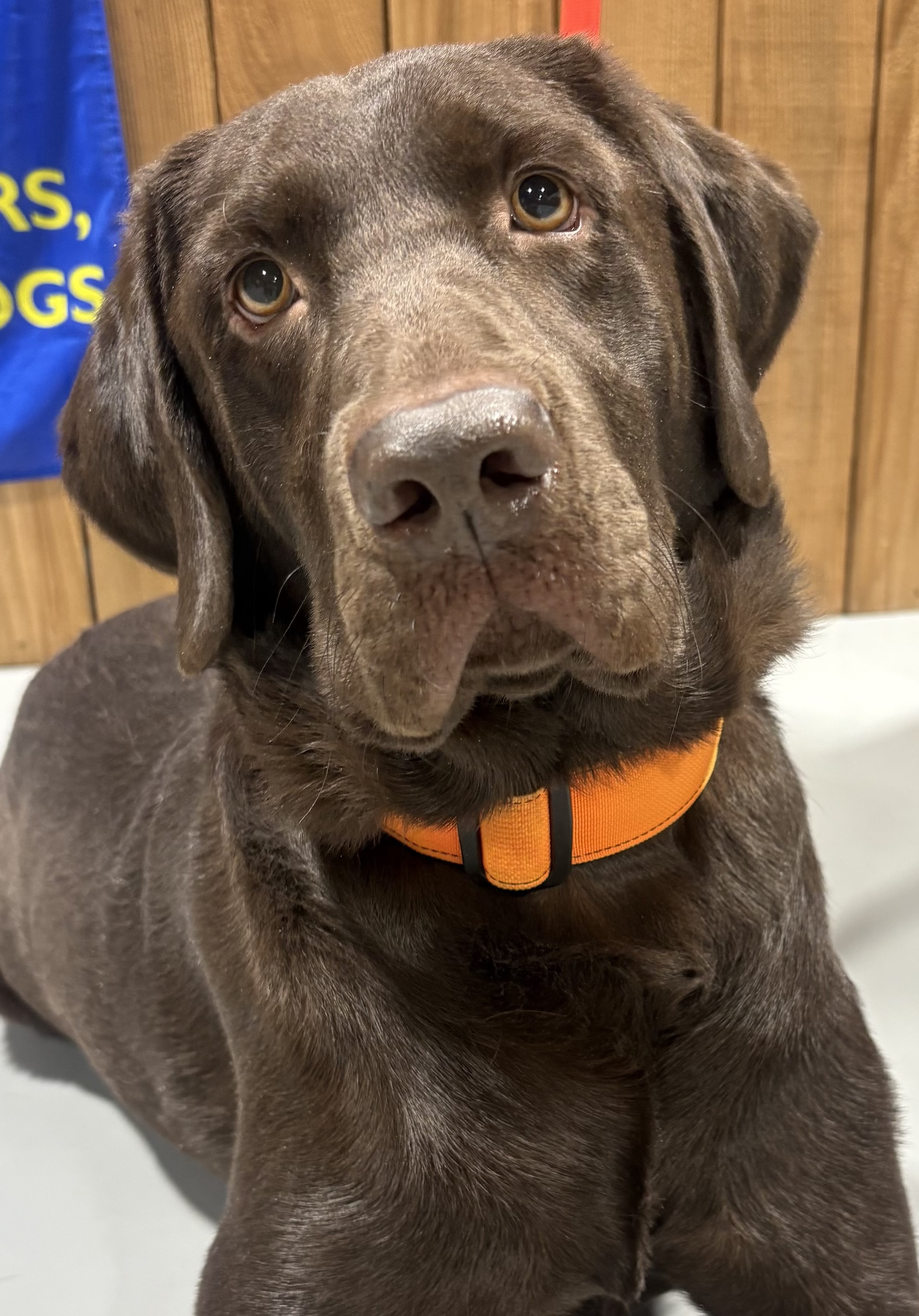 Duke