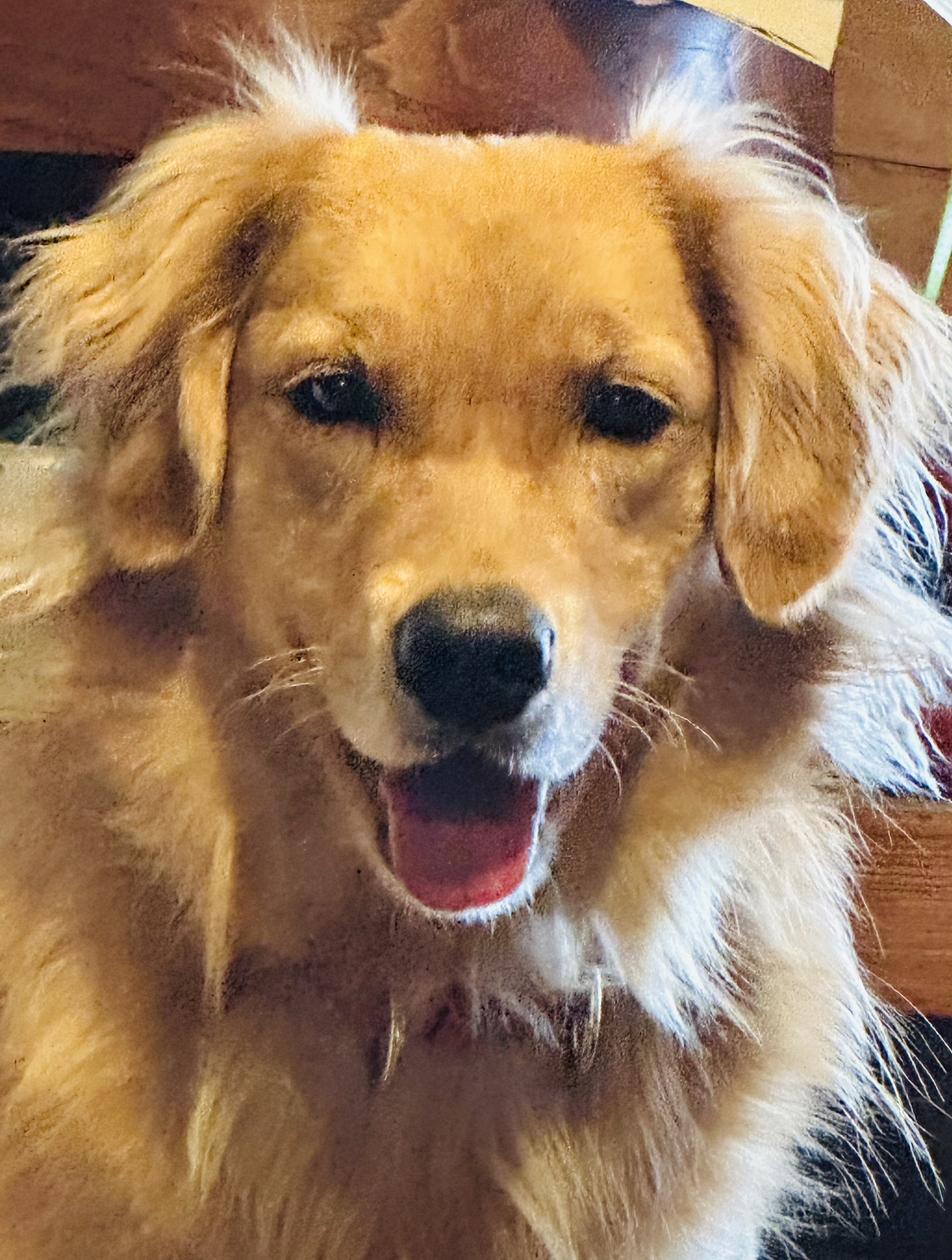 Maizie