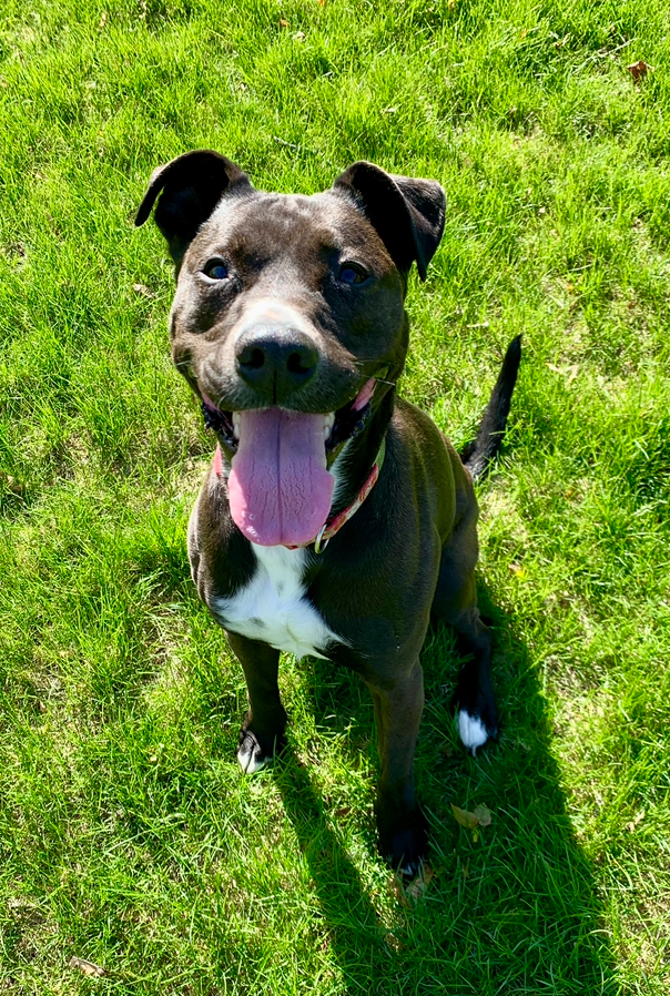 Winnie