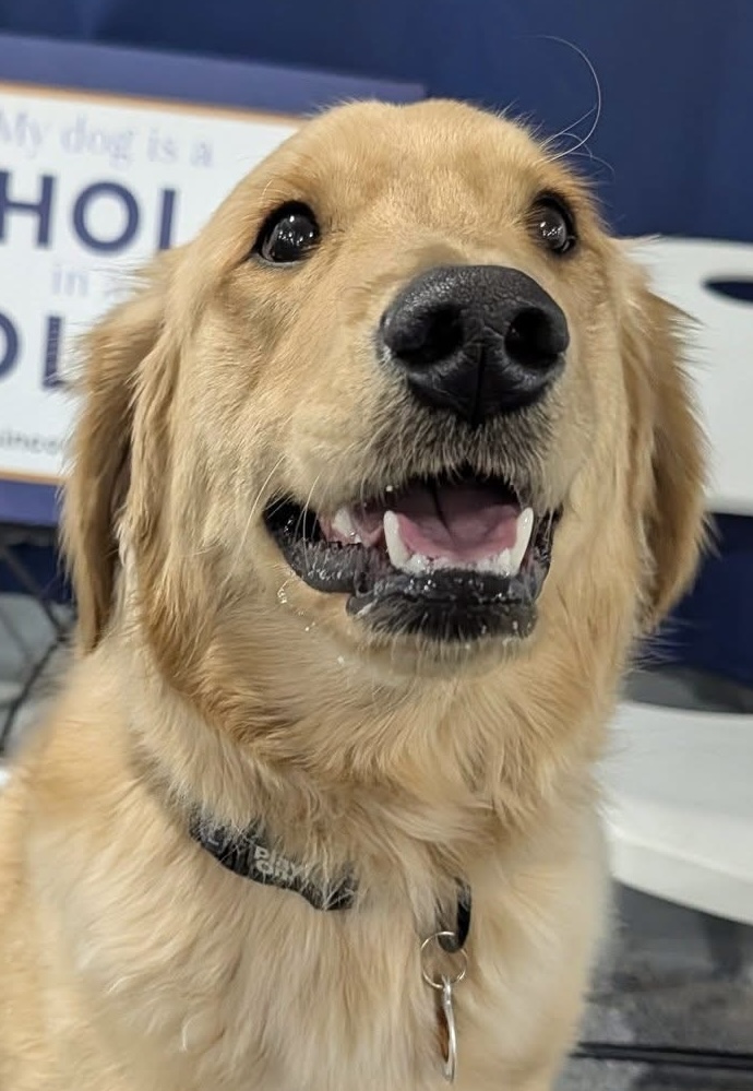 Gus
