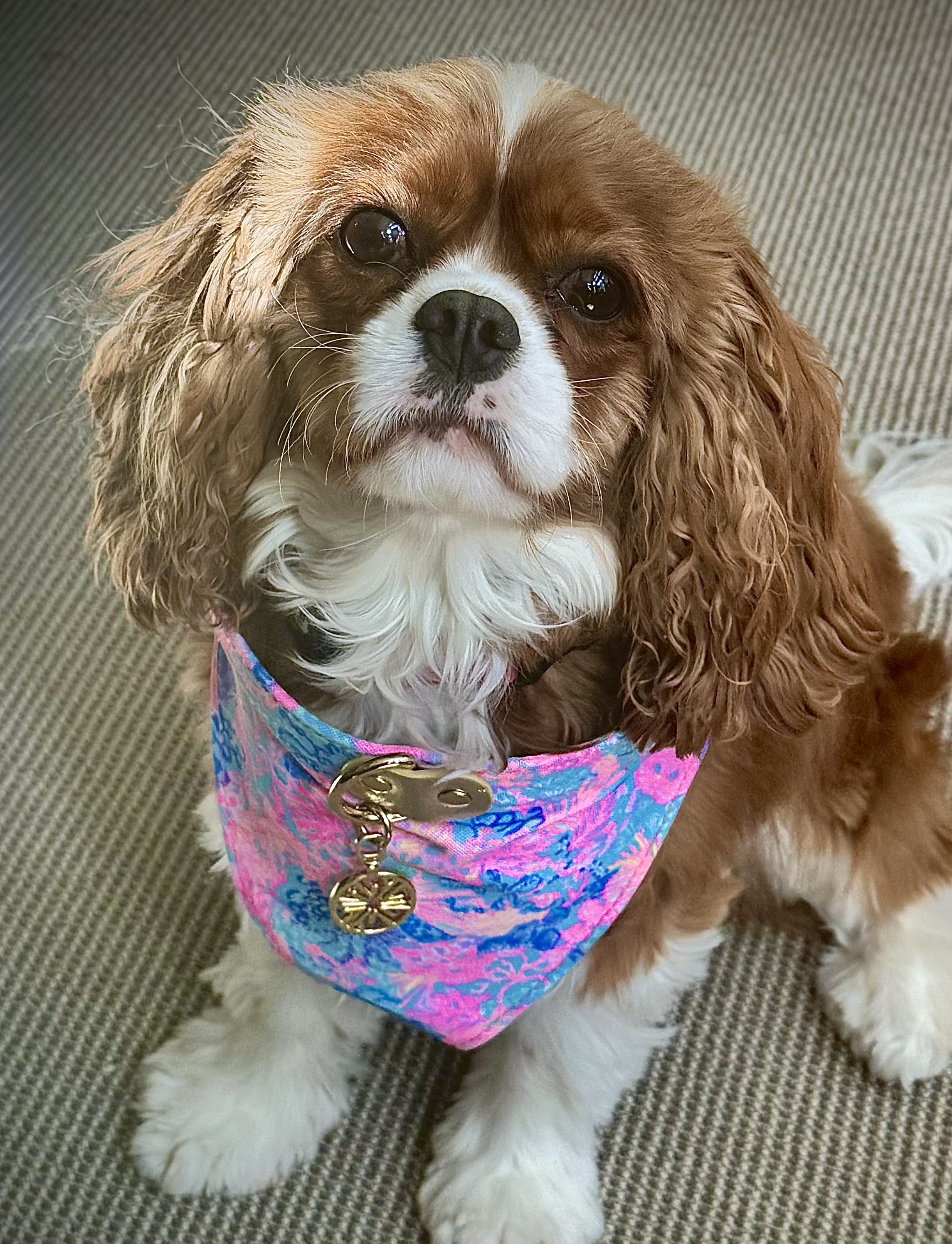 Lilly