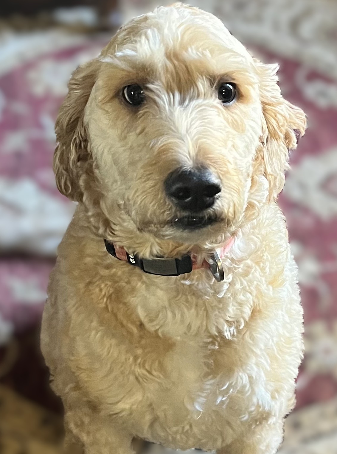Murphy