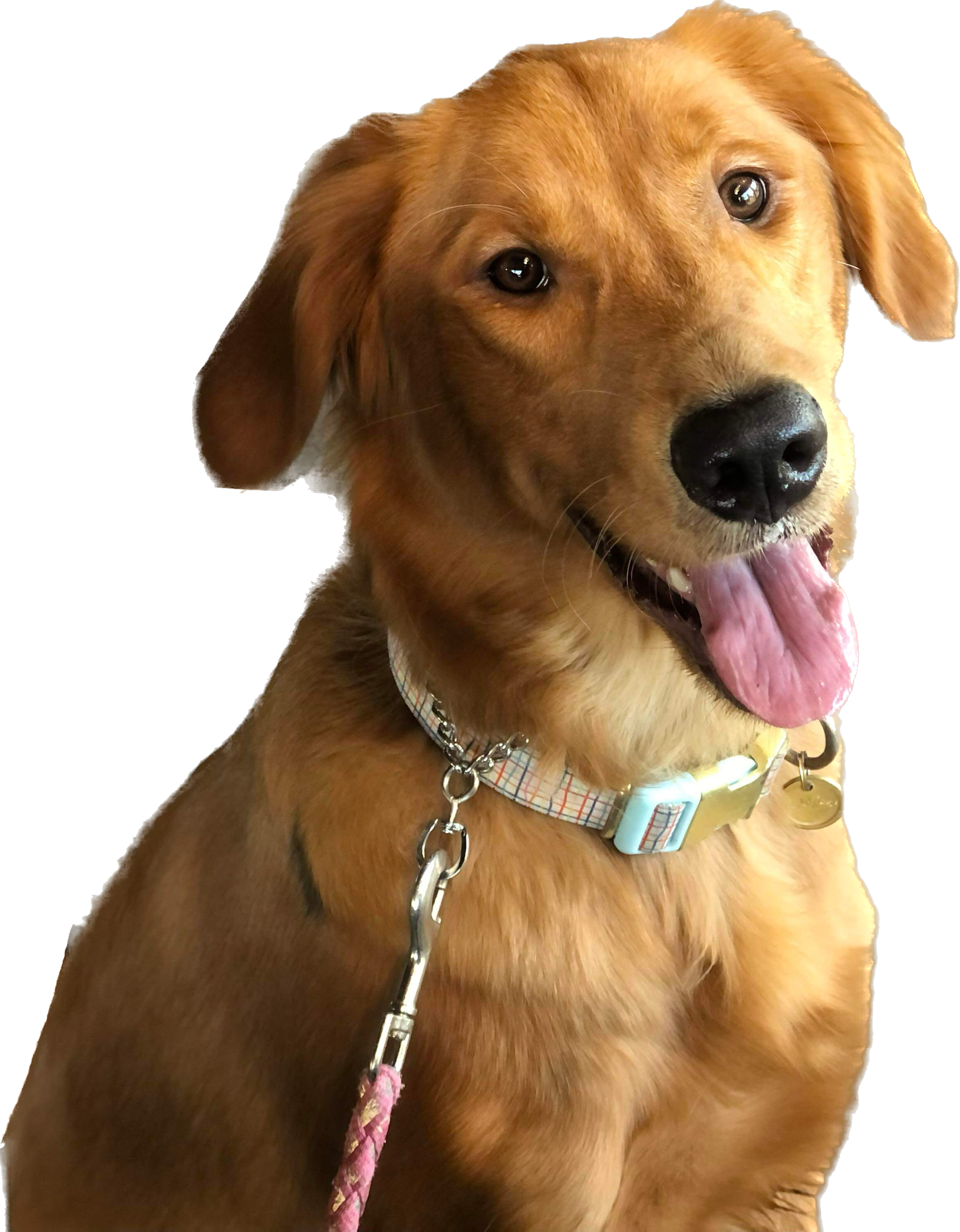 Nala