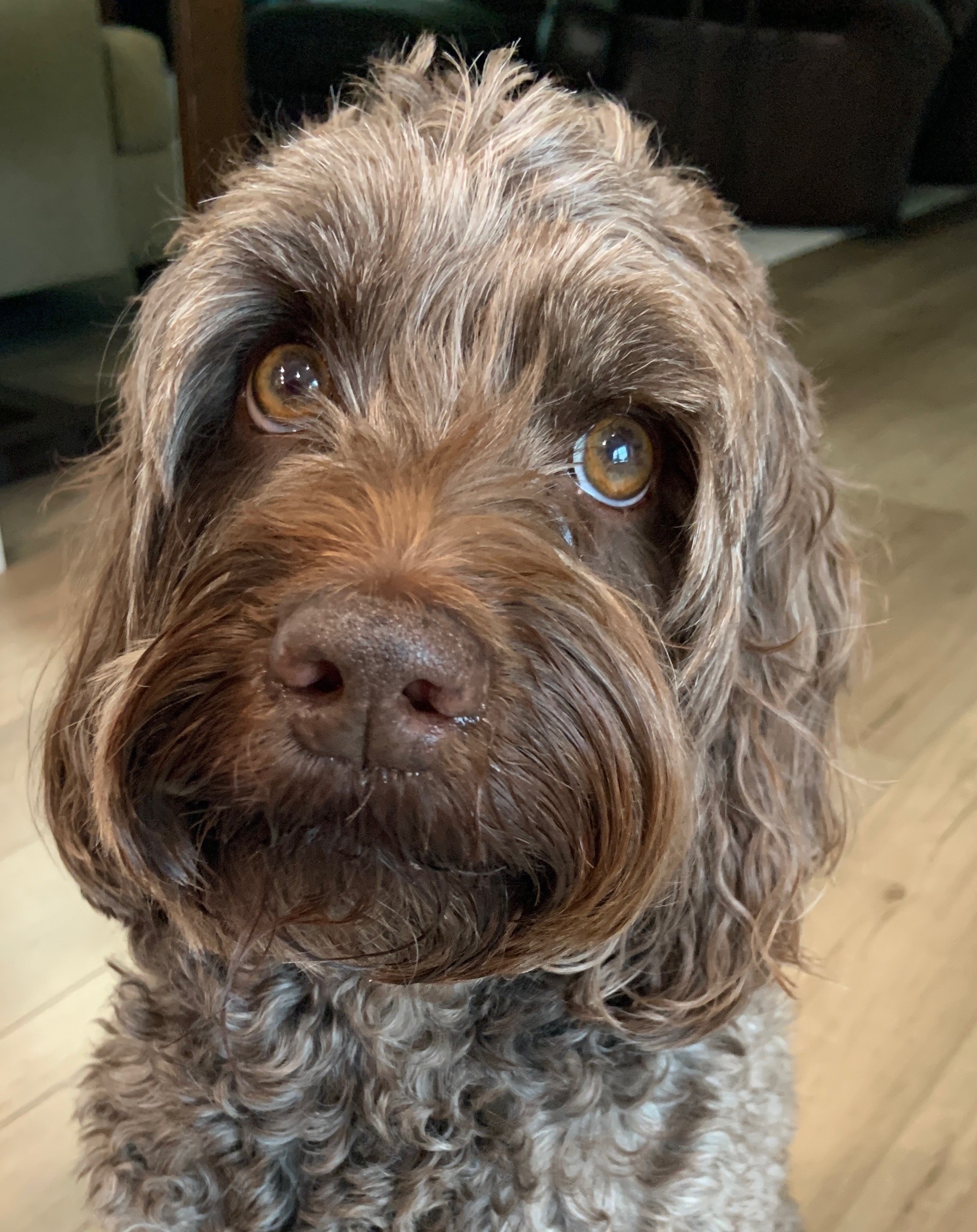 Suki